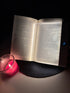 Reviewer